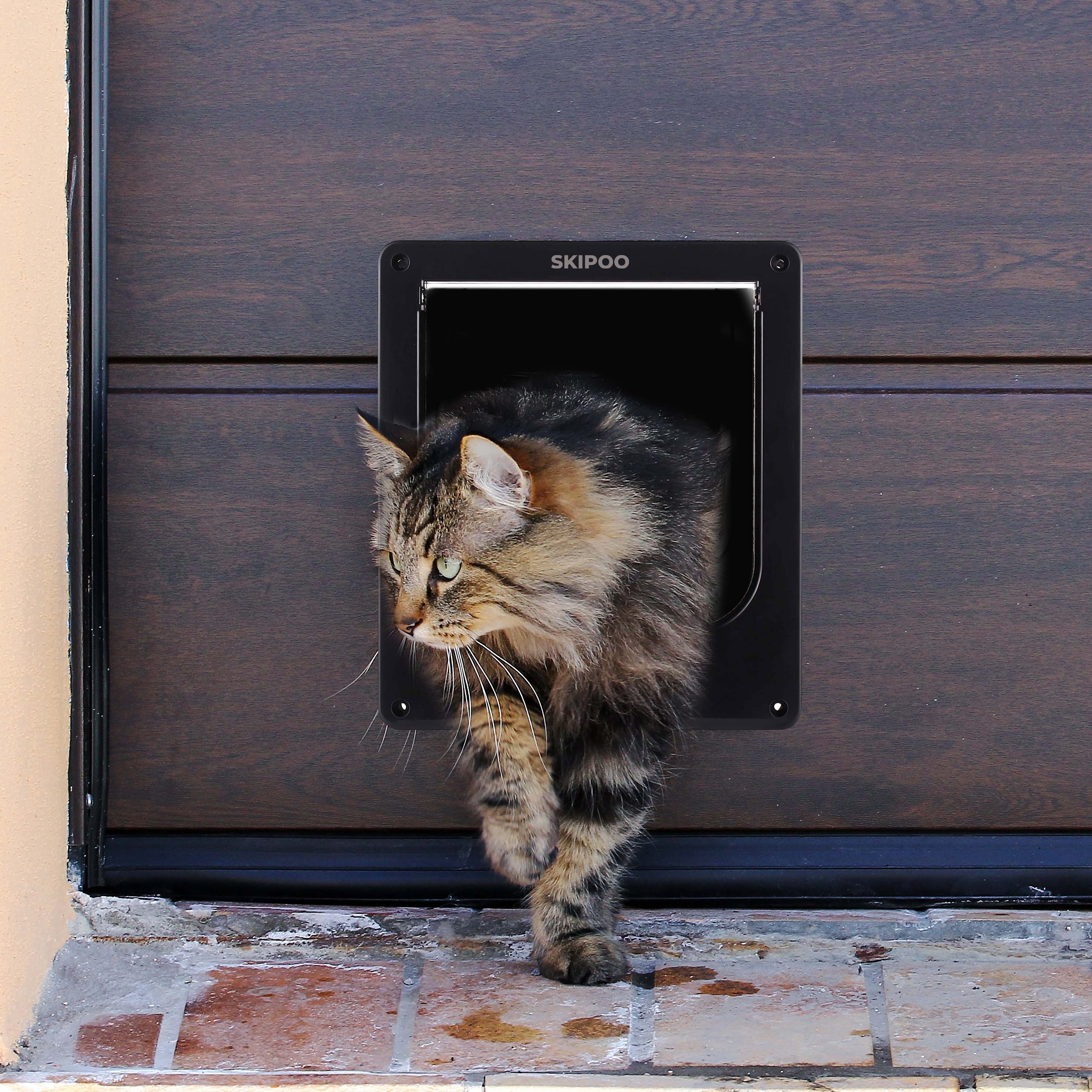 {{ kattenluik }} - {{ skipoo }}