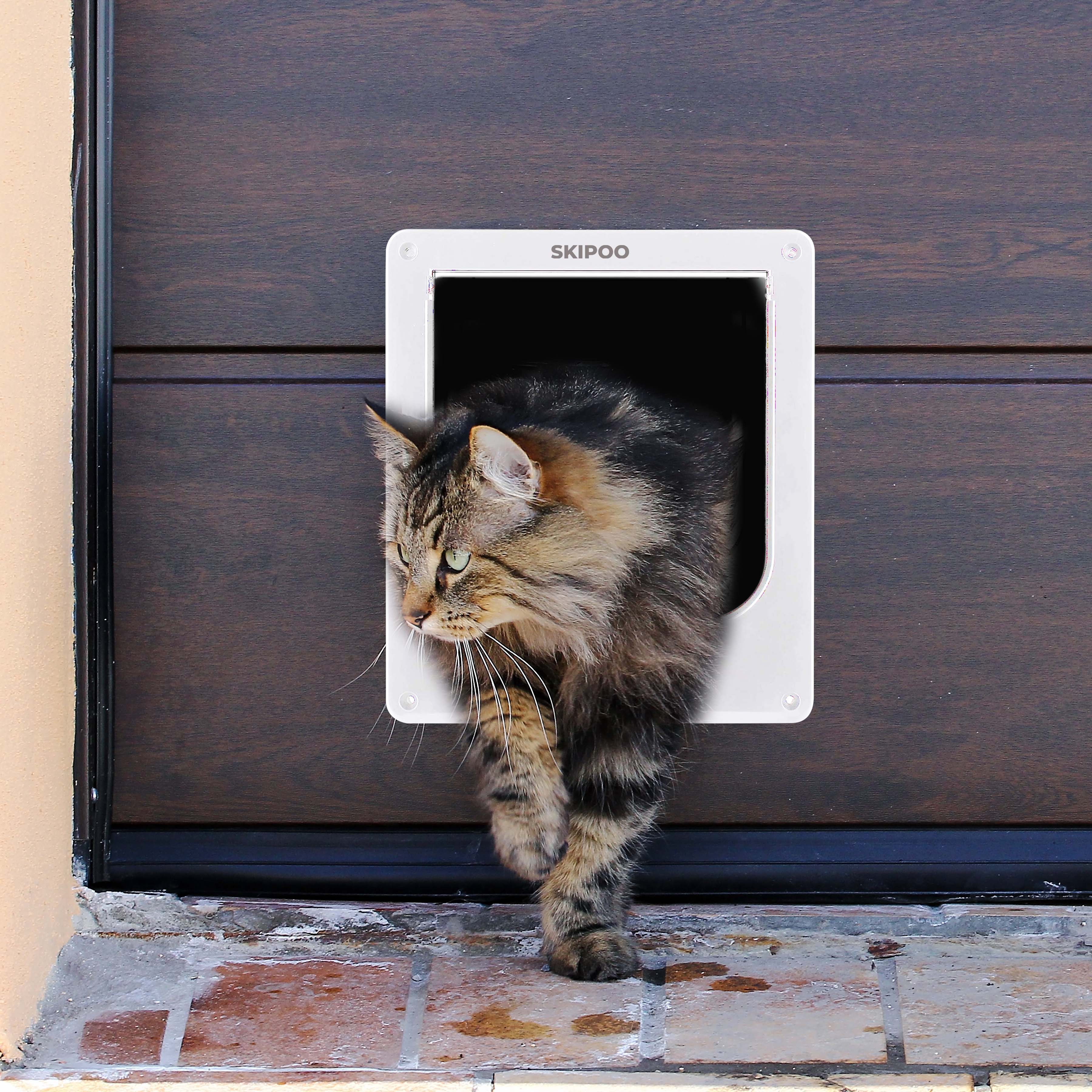 {{ kattenluik }} - {{ skipoo }}